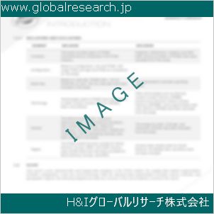 グローバルリサーチ調査資料のイメージ